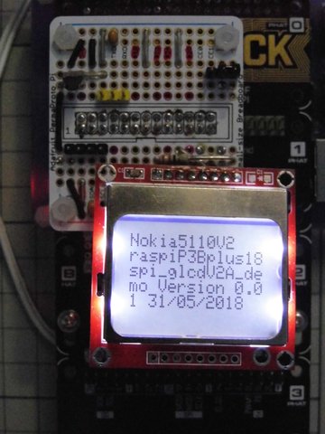 P1060425rs.JPG