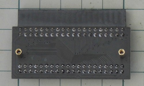 P1120382lcsg.JPG