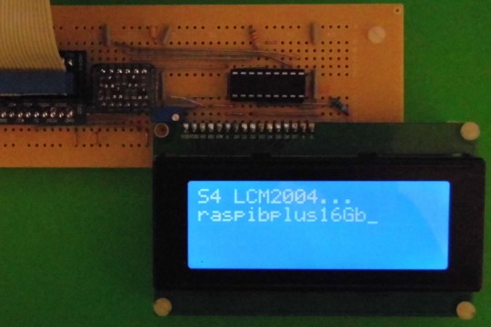 P1000825rcs.JPG