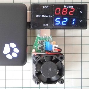 P1100582rcs.JPG