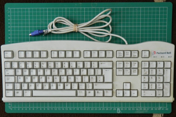 DSCN1586cs.jpg