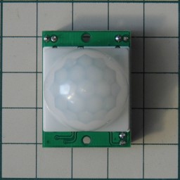 P1010263cs.JPG