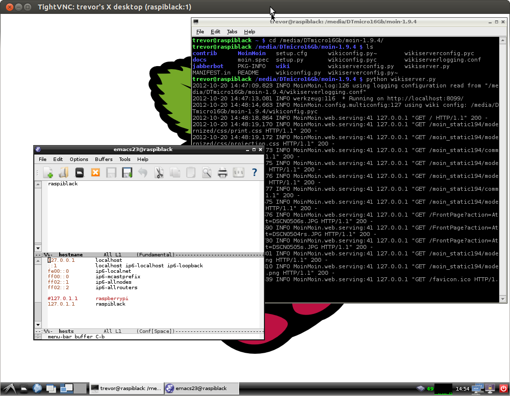 TightVNC_raspiblack#2.png