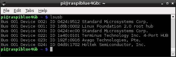 RaspiBlue4Gb_lsusb.png