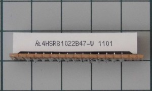 P1010434rcs.JPG