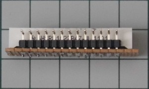 P1010435rcs.JPG