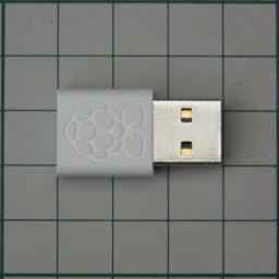 P1010422rcs.JPG